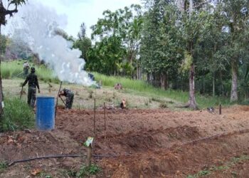 Koramil 02 Moro Gencar Galakkan Pertanian Jagung Dan Cabai Seluas 5 Hektar