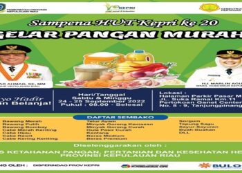 Sempena HUT Kepri ke-20, Pemprov Kepri Akan Gelar Pasar Murah di Tanjungpinang, Catat Tanggalnya!