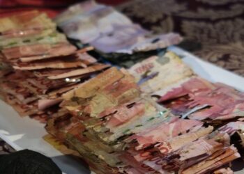 Video Viral Uang Puluhan Juta Rupiah Raib Dimakan Rayap, Apakah Bisa Ditukar ke BI?