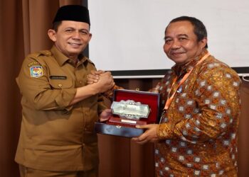Gubernur Ansar Beraudiensi dengan Pimpinan PT PLN Bright Batam