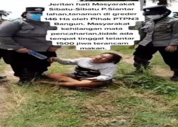 Jeritan Masyarakat Sibatu-sibatu, Lahan Milik Warga Diambil Alih Pihak PTPN 3