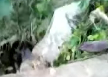 Video Viral, Sejumlah Mayat Hanut Terseret Banjir Di Tulungangung