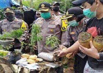 Polisi Ringkus 2 Anggota Satpol PP Saat Bertugas Di Kantor Gubernur Sulsel
