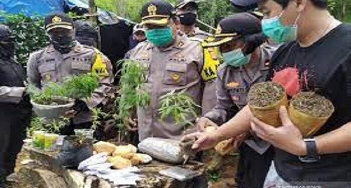 Polisi Ringkus 2 Anggota Satpol PP Saat Bertugas Di Kantor Gubernur Sulsel