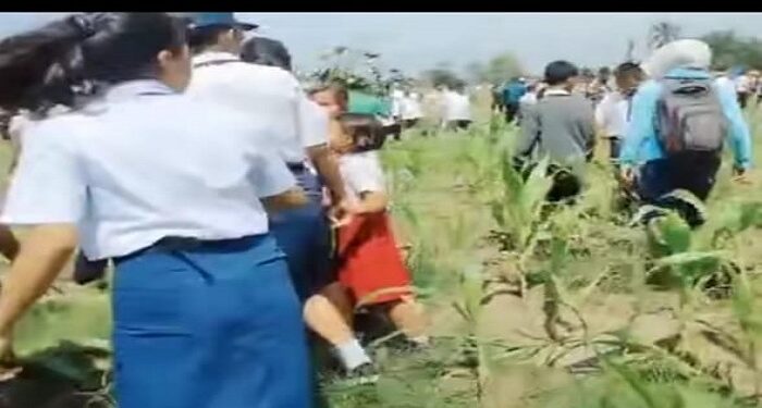Video Tanaman Jagung Milik Warga dibabat Habis PTPN IV