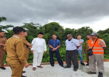 Pedestarian Jalan Bandara RHF Tanjungpinang Berhas Bunga Sakura, Bunga Tanjung dan Pohon Pinang