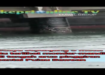 Viral!! Penampakan Seekor Buaya di Bawah Pelabuhan Baewan Gresik