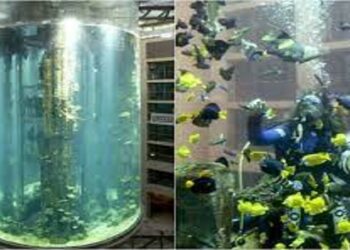 Akuarium Raksasa Di Berlin Pecah, Ribuan Ikan Tropis Mati
