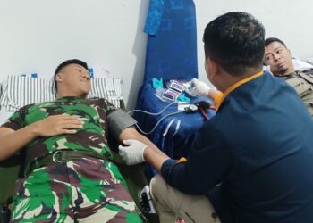 Dalam Rangka HUT Pomal ke-77, Denpom Lanal TBK Gelar Donor Darah