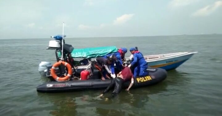 Anggota TB. Bina Marine 59 Korban Laka Laut Ditemukan