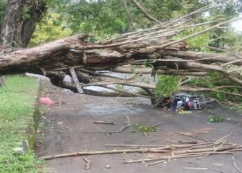 Angin Kencang Kembali Merobohkan Beberapa Bangunan di Cirebon
