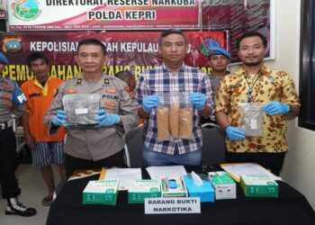 Pemusnahan Barang Bukti Narkotika Jenis Ganja Oleh Ditresnarkoba Polda Kepri
