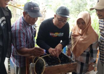 Batam Punyai Destinasi Wisata Baru Eko Wisata Madu Klanceng Trigona di Batu Aji