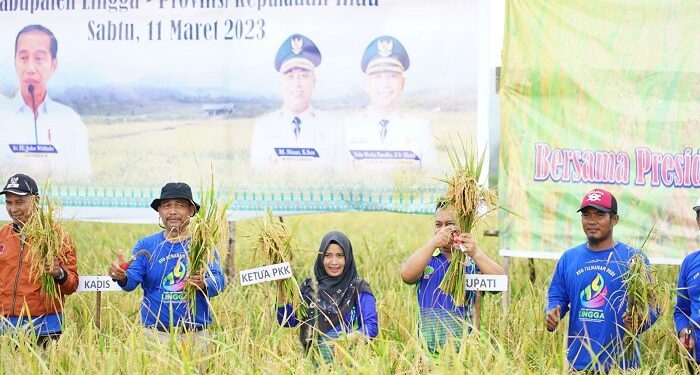 Bupati Lingga dan Istri Ikuti Kegiatan Panen Padi Nusantara 1 juta Hektar Tahun 2023