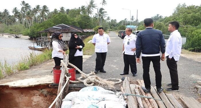 Agar Tetap Aman Digunakan, Pemkab Bintan Pastikan Penanganan Cepat Jembatan Sumpat