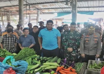 Sidak Bahan Pokok di Pasar Baru Tanjung Uban, Roby: Alhamdulillah Saat Ini Masih Aman, Harga Cendrung Stabil