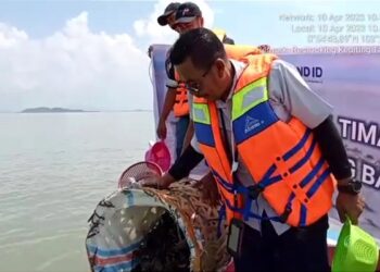 Jaga Ekosistem Pesisir, PT Timah Tbk Lepaskan 600 Ekor Bibit Kepiting di Pantai Kundur
