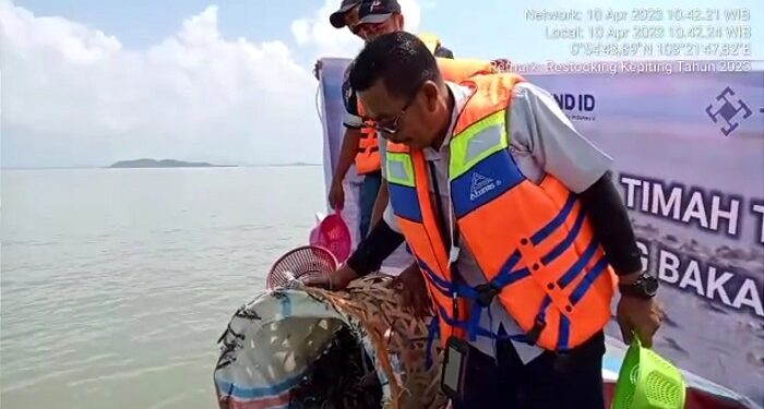 Jaga Ekosistem Pesisir, PT Timah Tbk Lepaskan 600 Ekor Bibit Kepiting di Pantai Kundur