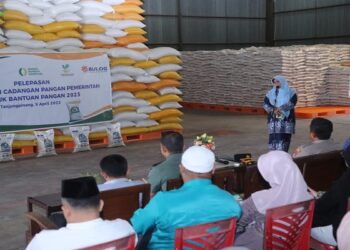 Perdana di Kepri, Rahma Lepas Penyaluran Bantuan Pangan 2023