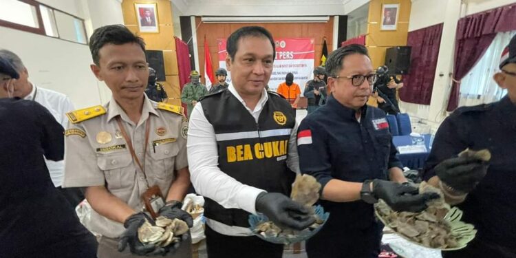 Pelaku Penyelundupan Ratusan Kilogram Sisik Tringgiling di Gagalkan