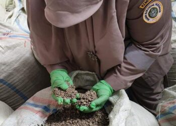 16 Kontainer Biji Kopi Asal Aceh Bakal di Ekspor ke Amerika Serikat