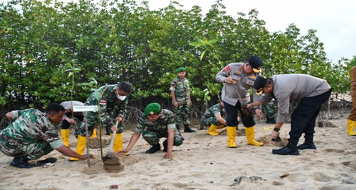Penanaman 2000 Batang Mangrove di BBT Bintan, Danrem 033: Jangan Merusak Ekosistem Ini
