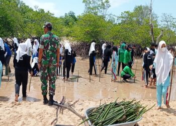 Jaga Abrasi Pantai, Siswa SMKN 1 Moro bersama TNI Tanami Mangrove di Sidomoro