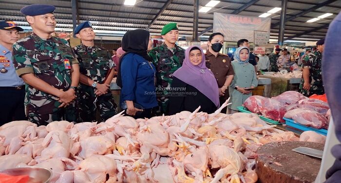 Harga Ayam Melonjak Tinggi, Ini penjelasan Disdagin Tanjungpinang