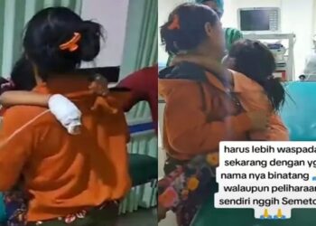 Digigit Anjing Rabies, Bocah di Buleleng Meninggal Dunia