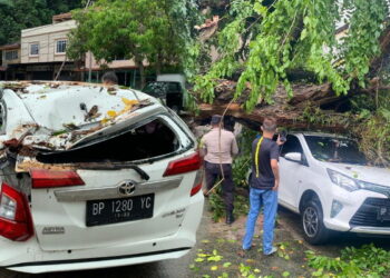 Cuaca Ekstrim, Dua Mobil di Karimun Tertimpa Pohon