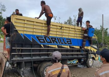 Cegah Penyebaran Penyakit ke Timika, Pastikan Kesehatan Hewan Kurban Jelang Iduladha