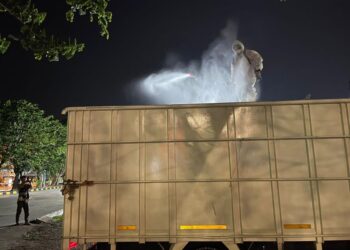 Jelang Iduladha, 15 Ekor Sapi dari Kabupaten Natuna Tiba di Tanjung Uban