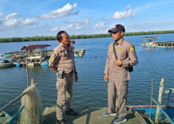 Cegah HPHK dan OPTK, Karantina Pertanian Tanjungpinang Patroli di Perairan Madong