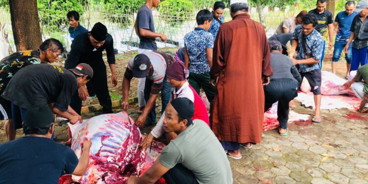 Hari Raya Idul Adha, Polres Bintan Qurban 3 Ekor Sapi