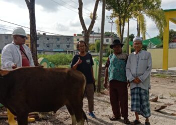 PWI Karimun Serahkan Hewan Kurban 1 Ekor Sapi ke Masjid Nurul Huda