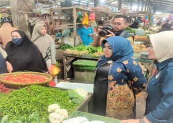 Jelang Iduladha, Wako Rahma Pantau Stok Dan Harga Bahan Pokok Di Pasar Bintan Center