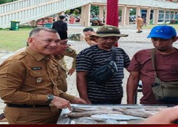 Wakil Bupati Natuna Hadiri Acara Gerakan Pangan Murah se-Indonesia Secara Virtual