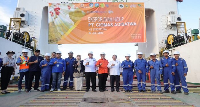 Gubernur Ansar Lepas Ekspor Perdana Ayam Hidup dari Bintan ke Singapura