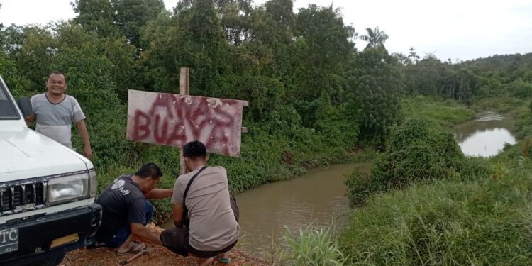 Heboh! Buaya Diduga Peliharaan PT Korindo Abadi Nimbul di Aliran Sungai Jalan Lintas Timur