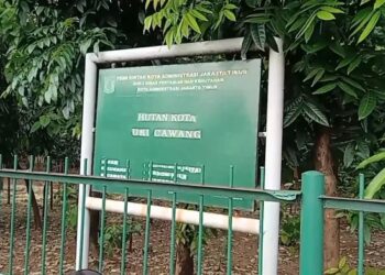 Bubarkan LGBT di Hutan Kota Cawang, Komnas HAM Kecam Pemprov DKI