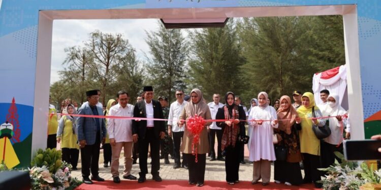 Gubernur Kepri Ansar Berharap UMKM Bisa Penggerak Ekonomi