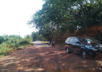 Jalan Singkep Barat Menuju Kota Dabo Singkep Perlu Perbaikan