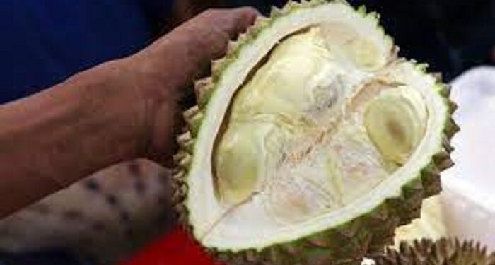 Masyarakat Karimun Kecewa Pembagian Durian Tidak merata