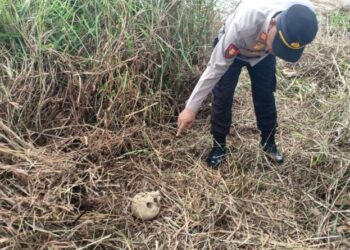 Warga Temukan Tulang Belulang