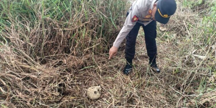 Warga Temukan Tulang Belulang