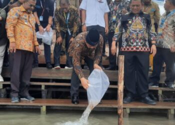 Menteri ATR Lepaskan 23.300 Benih Ikan ke Perairan Karimun