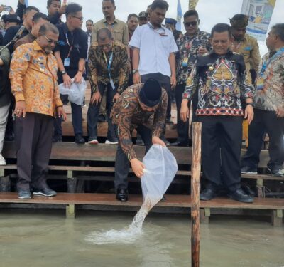 Menteri ATR Lepaskan 23.300 Benih Ikan ke Perairan Karimun