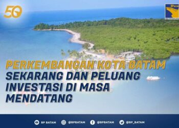 Negara Singapura Dominasi PMA di Kota Batam Mencapai USD 100.607,6 juta