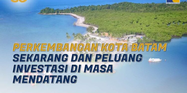 Negara Singapura Dominasi PMA di Kota Batam Mencapai USD 100.607,6 juta
