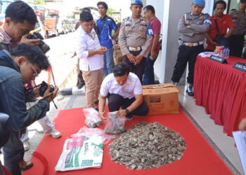 Polda Riau Ungkap Perdagangan Gelap Sisik Trenggiling